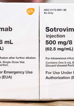 Anh phê duyệt thuốc Sotrovimab có thể hiệu quả đối với biến thể Omicron