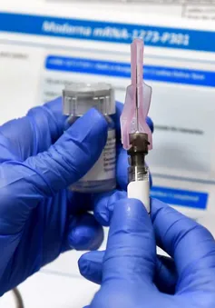 Ứng dụng tích hợp công nghệ blockchain giúp tra cứu thông tin vaccine nhanh chóng