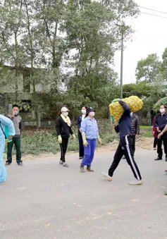 Quảng Ninh “bày cách” tiêu thụ nông sản cho nông dân vùng dịch