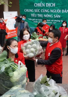 Triển khai chiến dịch “Chung sức cùng người dân tiêu thụ nông sản"