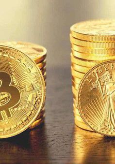 Tăng giảm thất thường, nhà đầu tư thót tim với “tàu lượn” Bitcoin