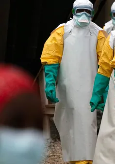 Ebola đã tái xuất hiện ở châu Phi