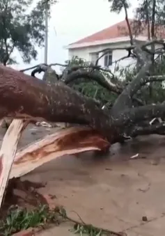 Lâm Đồng mưa lớn kèm lốc xoáy tốc mái nhiều nhà dân