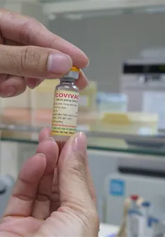 Nha Trang căng mình chống dịch, gồng mình điều chế vaccine COVID-19