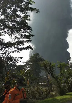 Hỏa hoạn nghiêm trọng tại nhà máy lọc dầu ở Indonesia, 5 người bị thương, hàng trăm người phải sơ tán