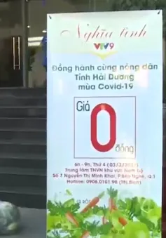 VTV9 chung tay giải cứu nông sản Hải Dương