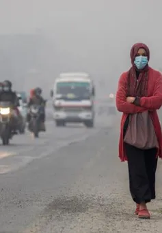 Khói bụi bao trùm từ hàng trăm đám cháy rừng, Nepal đóng cửa trường học trên cả nước