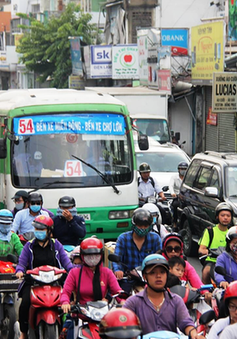 Triển khai xe bus mini tại TP Hồ Chí Minh là giải pháp khả thi