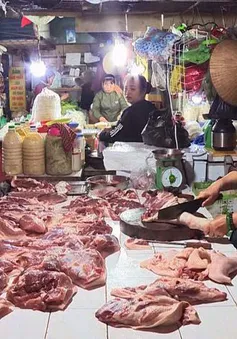 Huyện Chương Mỹ lên tiếng sau phản ánh của VTV Digital về "thủ phủ mua bán lợn chết"
