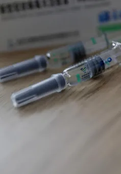 EU cấm xuất khẩu vaccine COVID-19 gây sụt giảm nguồn cung trên toàn cầu