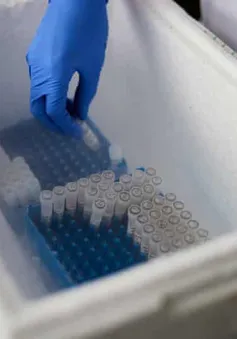 New Zealand đã mua đủ vaccine ngừa COVID-19 cho toàn dân