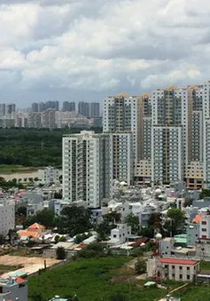 Rất hiếm căn hộ giá tầm 1.000 USD/m2 tại TP Hồ Chí Minh