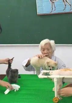 Cụ bà gần 90 tuổi làm phòng khám thú y miễn phí trong suốt 9 năm