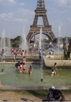Năm 2020 là năm nóng nhất được ghi nhận ở châu Âu