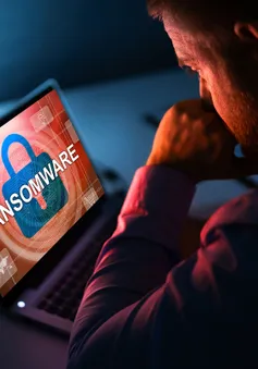 Ransomware tiến hóa, tống tiền online, tội phạm mạng chuyển hướng ăn cắp dữ liệu