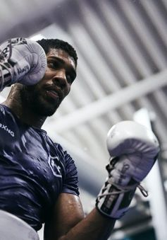 Anthony Joshua bắt đầu tập luyện với cường độ cao