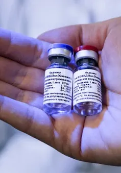 Đức đàm phán mua vaccine Sputnik V của Nga