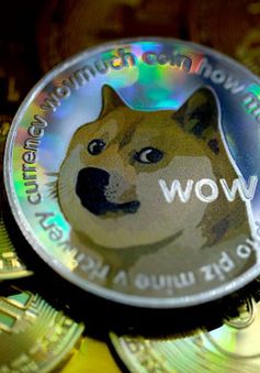 Cơn sốt tiền số Meme coin