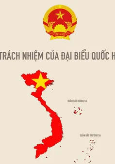 [Infographic] Tiêu chuẩn và trách nhiệm của đại biểu Quốc hội, đại biểu Hội đồng nhân dân