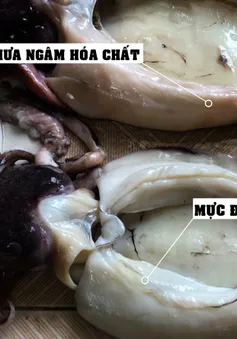 Chuyển động 24h lật tẩy "công nghệ" tẩy trắng mực thối bằng hóa chất