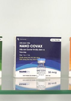 Vaccine Nanocovax đạt yêu cầu về tính an toàn, có tính sinh miễn dịch