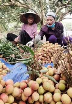 Đề nghị Trung Quốc tạo điều kiện tiêu thụ nông sản Việt Nam