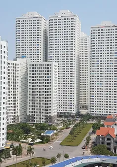 Giá căn hộ tại TP Hồ Chí Minh tăng gần 15% một năm