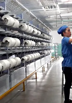 Ấn Độ không áp thuế chống bán phá giá một số sản phẩm xơ sợi staple nhân tạo Việt Nam
