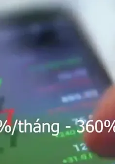 Lừa đảo trên sàn Forex, tiền ảo: Cho thắng được thắng, muốn thua được thua