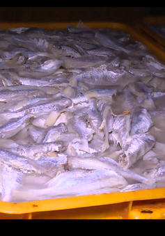 Bà Rịa - Vũng Tàu: Phát hiện cơ sở dùng hóa chất chế biến hải sản