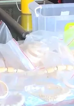 Đắk Lắk: Bắt đối tượng mua bán trang sức làm từ ngà voi