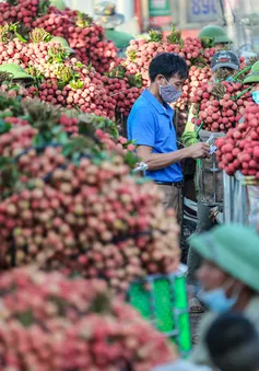 Việt Nam xuất 2,5 triệu tấn trái cây tươi sang Trung Quốc