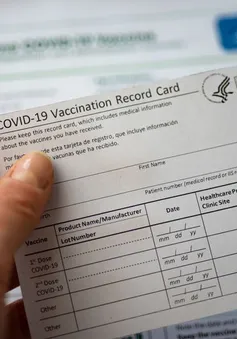 FBI: Mua bán thẻ chứng nhận tiêm vaccine COVID-19 giả có thể bị phạt tù