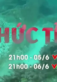 Thức tỉnh: Thông điệp ý nghĩa về bảo vệ môi trường (21h, 5/6, VTV1)