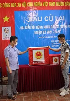 Hà Nội xử lý sai phạm nghiêm trọng trong bầu cử HĐND xã Tráng Việt