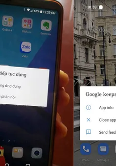 Ứng dụng Google gặp sự cố khiến nhiều người dùng Android gặp lỗi lạ