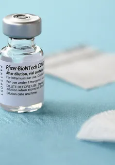 Vaccine của AstraZeneca và Pfizer-BioNTech hiệu quả với các biển thể Delta, Kappa