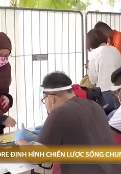 Singapore chuẩn bị sống chung với COVID-19