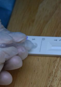 Hải Phòng: Chỉ cấp test nhanh kháng nguyên để làm xét nghiệm vào ngày thứ 7 cho F0 cách ly tại nhà