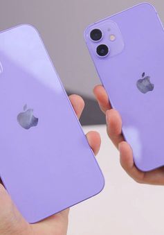 iPhone qua sử dụng đồng loạt giảm giá tại Việt Nam