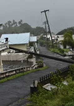 Bão nhiệt đới Elsa hoành hành ở Cuba, hướng tới Florida