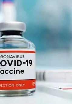 Vaccine - Hành trình miễn dịch số 4: Phụ nữ mang thai có nên tiêm vaccine phòng COVID-19?