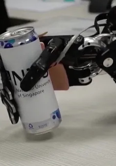 Singapore phát triển da nhân tạo cho robot