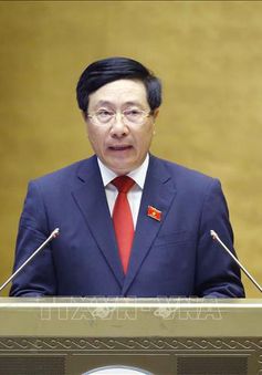 Phó Thủ tướng Phạm Bình Minh làm Chủ tịch Hội đồng tư vấn đặc xá năm 2021