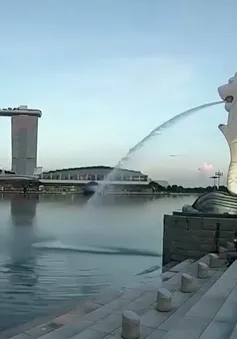 Singapore chuẩn bị để sống chung lâu dài với COVID-19 như bệnh cúm thông thường