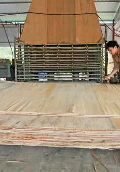 Ngăn chặn hàng xuất khẩu đội lốt “Made in Việt Nam”