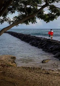 Tình hình dịch căng thẳng, Hawaii kêu gọi người dân không đi du lịch