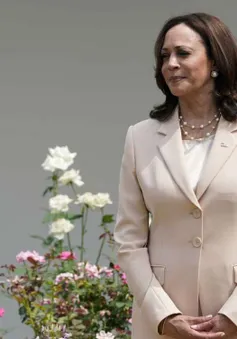Ấn tượng về Kamala Harris - Phó Tổng thống Mỹ đầu tiên thăm chính thức Việt Nam