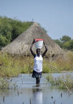 Lũ lụt nghiêm trọng tại Nam Sudan, hàng trăm nghìn cư dân bị ảnh hưởng