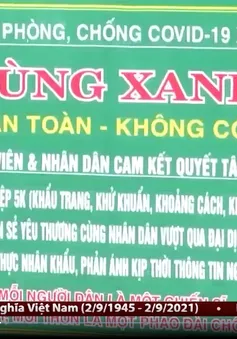 Đà Nẵng quyết tâm bảo vệ Vùng xanh, thu hẹp Vùng đỏ